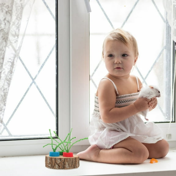 GOOHOCHY 1 Set Small Animal Toys Hamster Pet Foraging Box Hamster Chew Toy Ferret Toys Hamster Habitat Decor For Rats Bunny Supplies