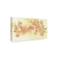 thumbnail image 2 of Trademark Fine Art 'Tinted Blossoms I' Canvas Art by Chris Paschke, 2 of 3