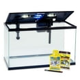 thumbnail image 4 of Glofish 10 Gallon Aquarium Fish Tank Kits, Includes LED Lighting and Décor, 4 of 5