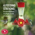 thumbnail image 6 of Perky-Pet 203CPBN Pinch Waist Glass Hummingbird Feeder, 6 of 8