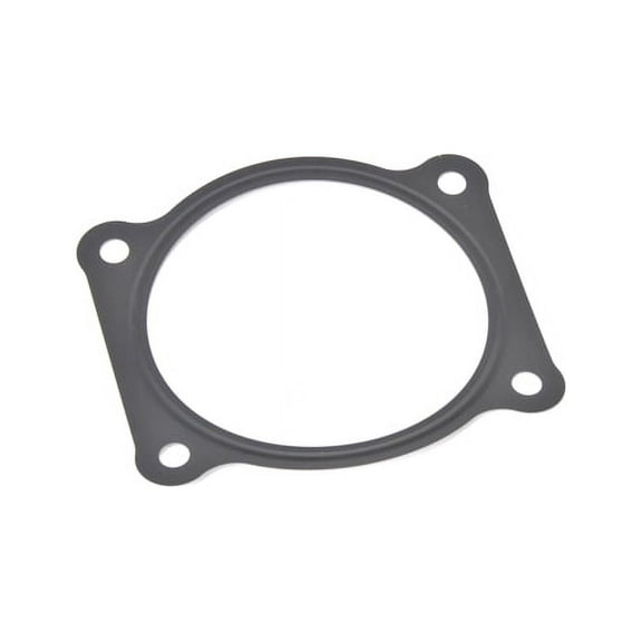 Throttle Body Mounting Gasket