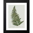 thumbnail image 2 of Robinson, Carol 15x18 Black Modern Framed Museum Art Print Titled - Fern Studies I, 2 of 5