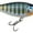 Gilded Blue Gill, variant on Rapala Shad Rap Elite 55 Crankbait Gilded Blue Gill