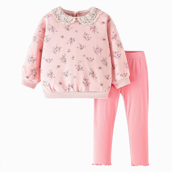 NIEWTR Baby Fall Winter Clothes Toddler 2-Piece Loungewear Set Long Sleeve Crewneck Top Elastic Waist Long Pants Cozy Pajamas for 6-24 Months 2T 3T Casual Sleepwear(A-Pink,3-4 Years)
