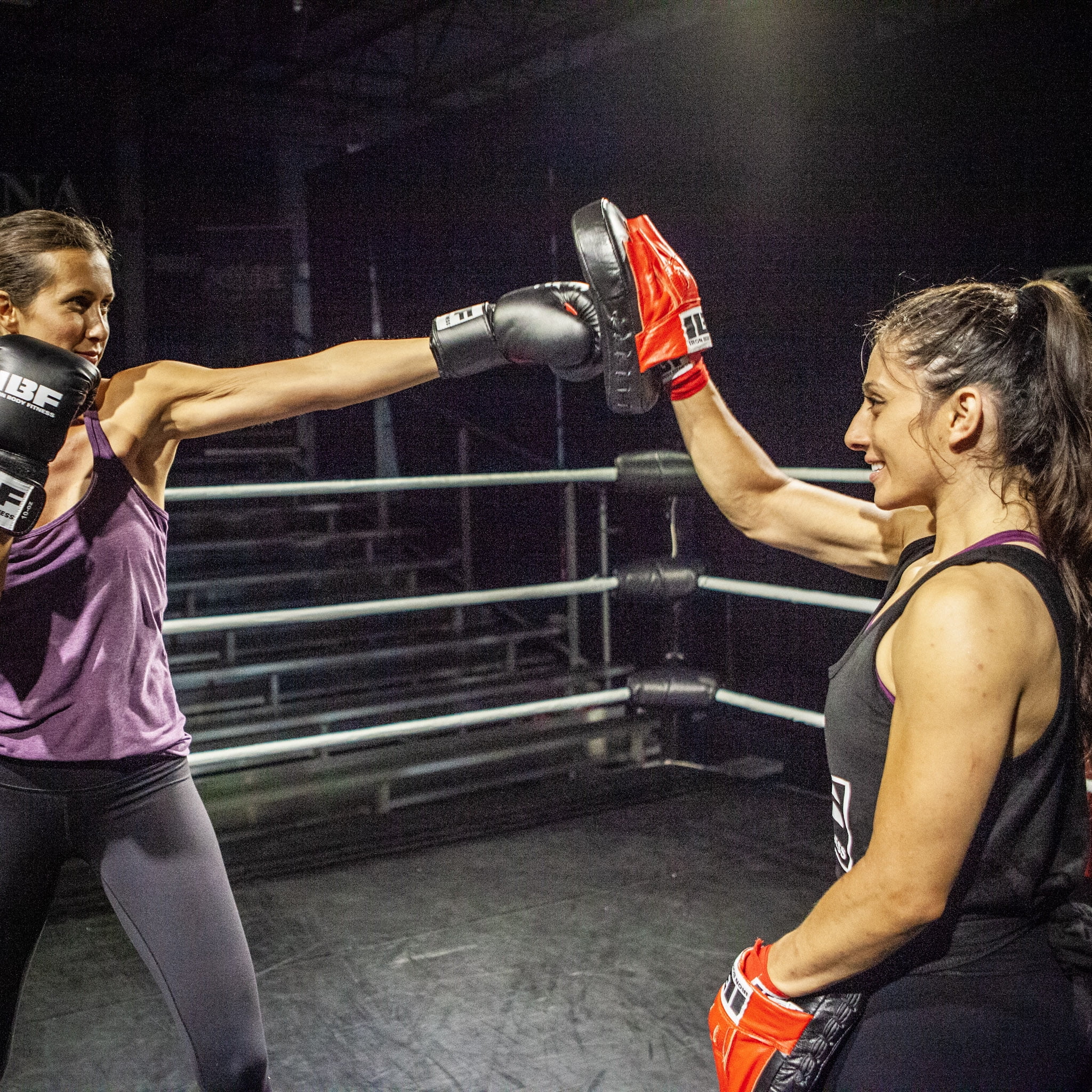 Iron Body Fitness Boxing Training Focus Pads - Pro Short