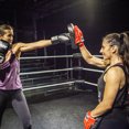 thumbnail image 4 of Iron Body Fitness Boxing Training Focus Pads - Pro Short, 4 of 8