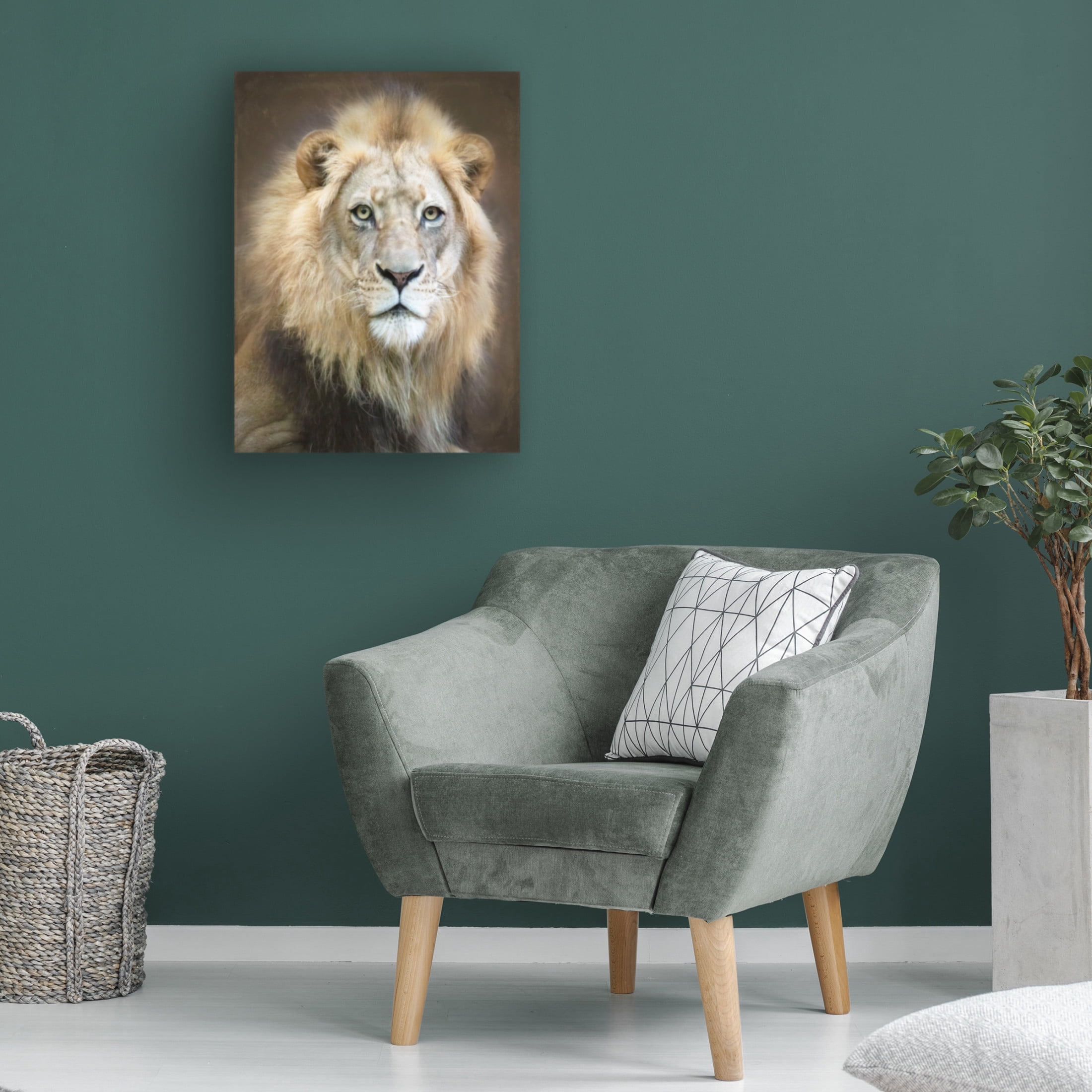 Trademark Fine Art Linda D Lester Portrait Of A Young Male Lion Canvas Wall Art