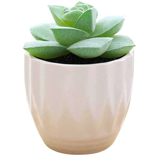 Coofit Mini Potted Succulent Lifelike - Artificial Plant Faux Succulent in Pot for Home