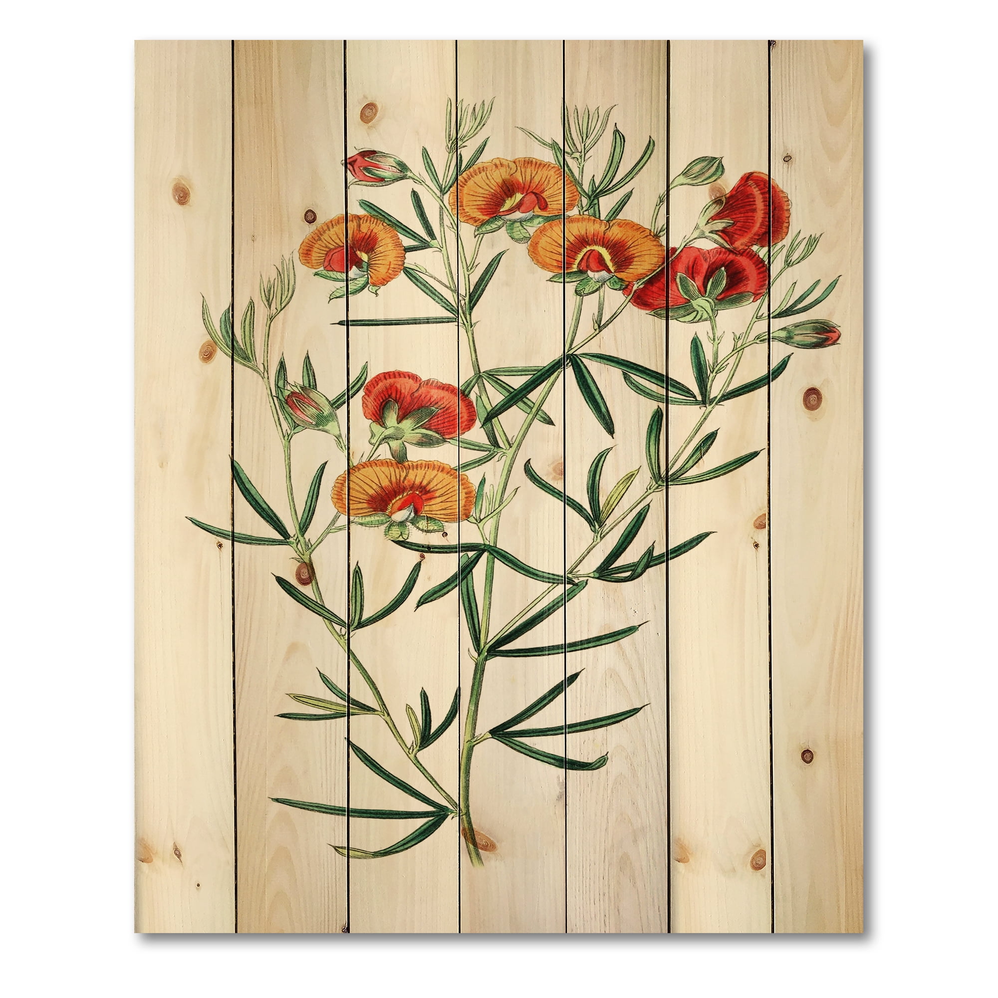 Designart 'Ancient American Flora VIII' Traditional Print on Natural Pine Wood