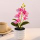 thumbnail image 4 of Orquídea bonsái artificial, decoración de escritorio de oficina para bodas, blanco y rosa con rayas, 4 of 6