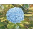 thumbnail image 2 of Sherrill, Kate 32x25 White Modern Wood Framed Museum Art Print Titled - In the Garden, 2 of 4