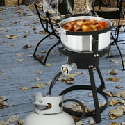 Ktaxon Propane Outdoor Fryer Fish Frying/Boiling Turkey Fryer Pot 10QT