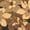 Black Natural/Brown, variant on SAFAVIEH Courtyard Qendro Floral Indoor/Outdoor Area Rug, Natural Brown/Olive, 5'3" x 5'3" Round