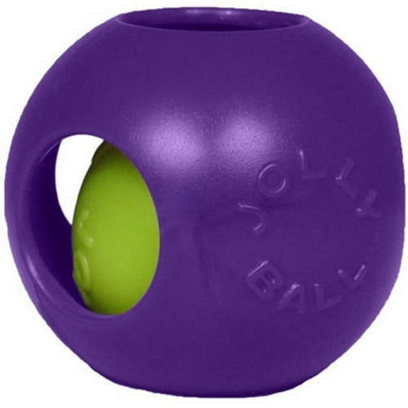 150452 Teaser Ball, 10" Purple
