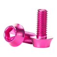thumbnail image 1 of Scienceny Tornillo de soporte para botella de agua de bicicleta de aleación de aluminio, 2 piezas, tornillos anodizados hexagonales de Color Bombillas para automóviles Rosado, 1 of 6