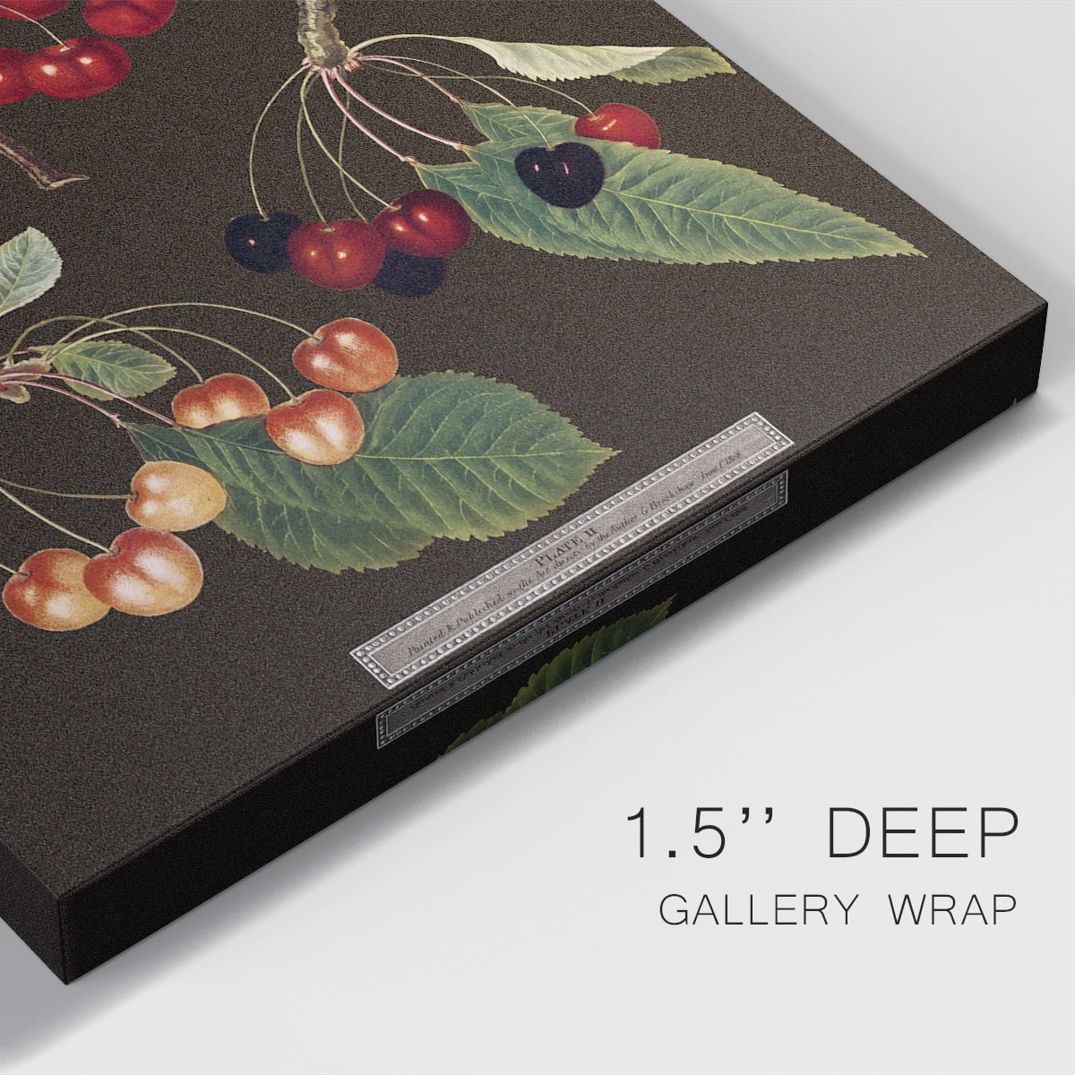 Brookshaw Cherries Premium Gallery Wrapped Canvas - Ready to Hang