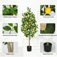 thumbnail image 4 of GnFlus 4ft Artificial Lemon Tree Fake Lemon Plant in Pot Large Fake Floor Plants Faux Trees Indoor kitchen Lemon Home Decor, 4 of 7