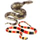 thumbnail image 1 of FELTECHELECTR 2 modelos de serpientes de broma, juguete de serpiente espeluznante, modelo de serpiente para fiesta, juguetes de serpiente espeluznantes, serpientes falsas, 1 of 6