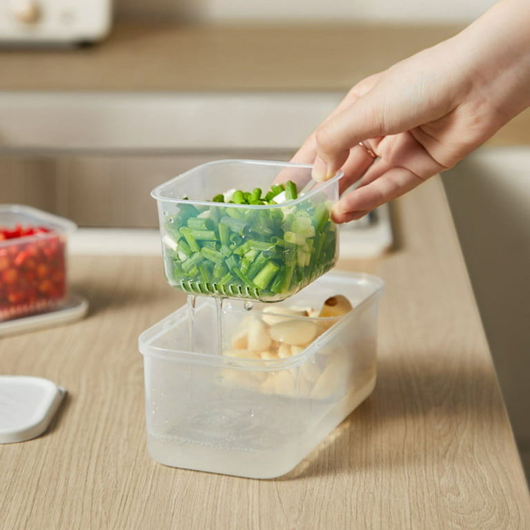Food Storage Containers with Lids Airtight, Scallion Preservation Box  Fridge Fresh-Keeping Container, 6 Grids Draining Crisper Portable Divided  Fruit