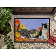 thumbnail image 3 of Carolines Treasures ASA2201JMAT Kittens Tapis Mural Intérieur Ou Extérieur - 24 x 36, 3 of 4