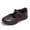 Brown 2, variant on Rexoro Girls Mary Janes Hook and Loop Synthetic Flat Shoes School Outdoor