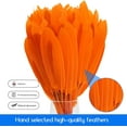thumbnail image 3 of 120pcs Orange Goose Cochettes Feather Natural Bulk 4-6 inch 10-15cm for Wedding Party Christmas Halloween Decorations DIY Crafts Goose Cochettes Feather, 3 of 12