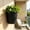 Black, variant on Home Decor,Indoor Outdoor Wall Mounted Planters With Drainage Holes Ideal For Decorating Balconies And Terraces With Greenerys,Man Gifts(Blue)