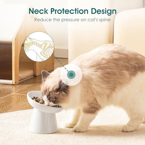 Ceramic Slow Feeder Cat Bowl, 6.25 Inch Elevated Cat Slow Feeder Bowl, Anti Vomiting for Dry and Wet Food, White