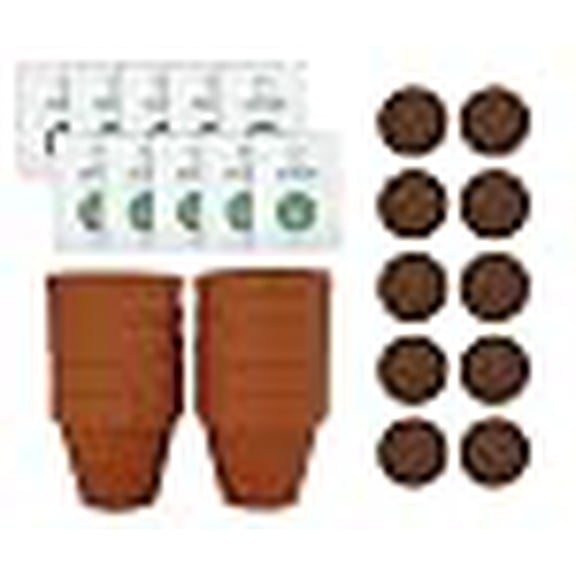 Buzzy Seeds Mini Terracotta Sunflower Grow Kit, 10-Pack