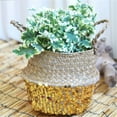 thumbnail image 5 of (Clearance) BNNG Woven Seagrass Plant Basket with Handles, Ideal Wicker Baskets Storage Plant Pot Basket for Laundry, Picnic, Plant Pot Cover, Beach Bag and Grocery Basket, 5 of 6