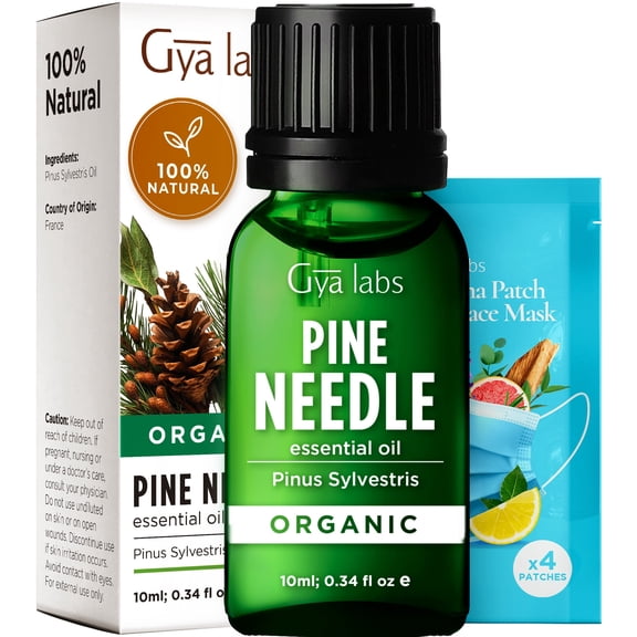 Gya Labs Organic Pine Needle Essential Oil - 0.34 fl oz- for Skin, Hair, Diffuser, Aromatherapy, DIY Candle Making Scents