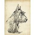 thumbnail image 2 of Harper, Ethan 19x24 Black Ornate Wood Framed with Double Matting Museum Art Print Titled - Breed Studies I, 2 of 4
