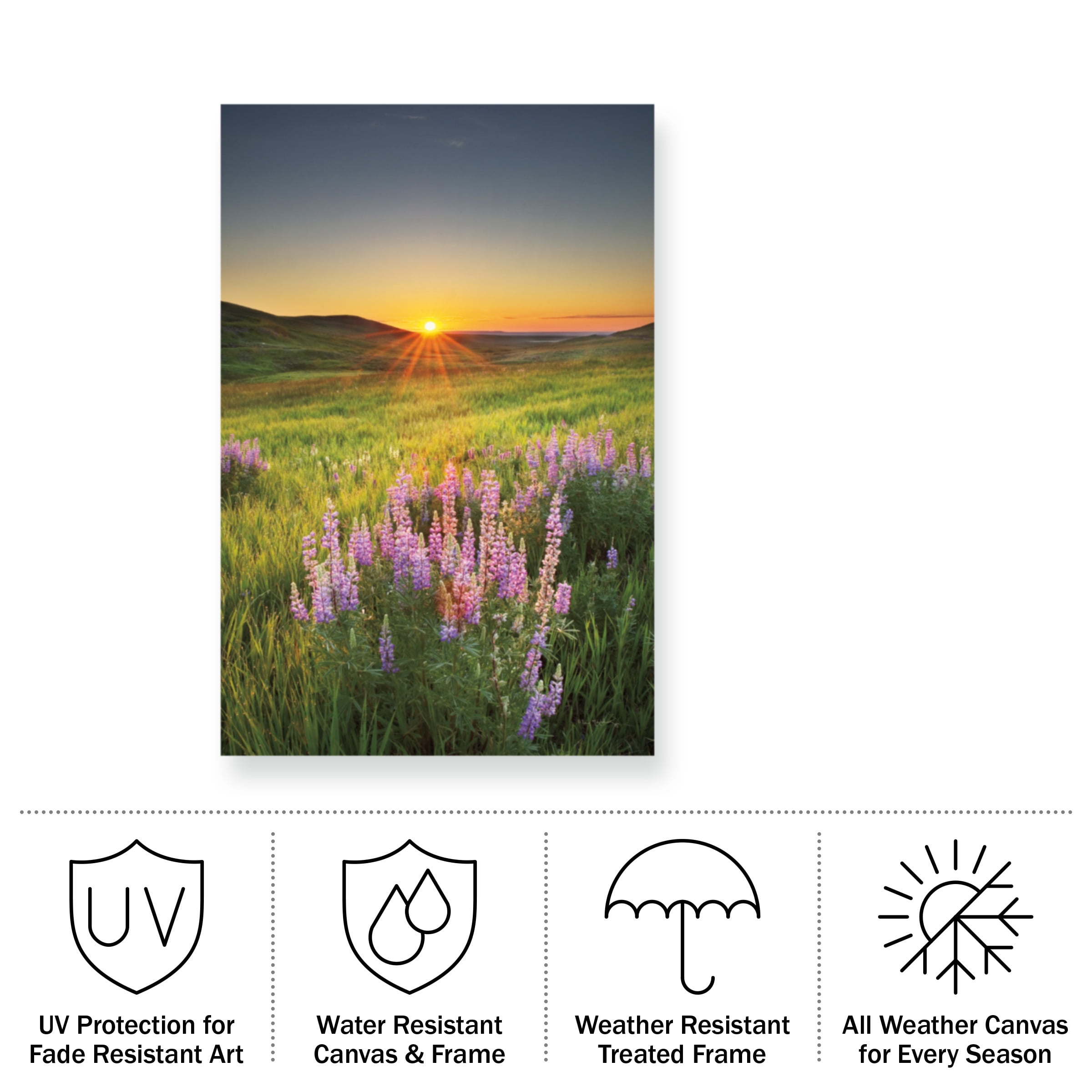 Alan Majchrowicz 'Prairie Sunrise' Outdoor Canvas 19x16