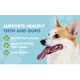 thumbnail image 3 of Liquid-Vet® Supplément Bien-Être pour Dents et Gencives pour Chien, Saveur de Rôti de Bœuf, 16 fl oz, 3 of 8