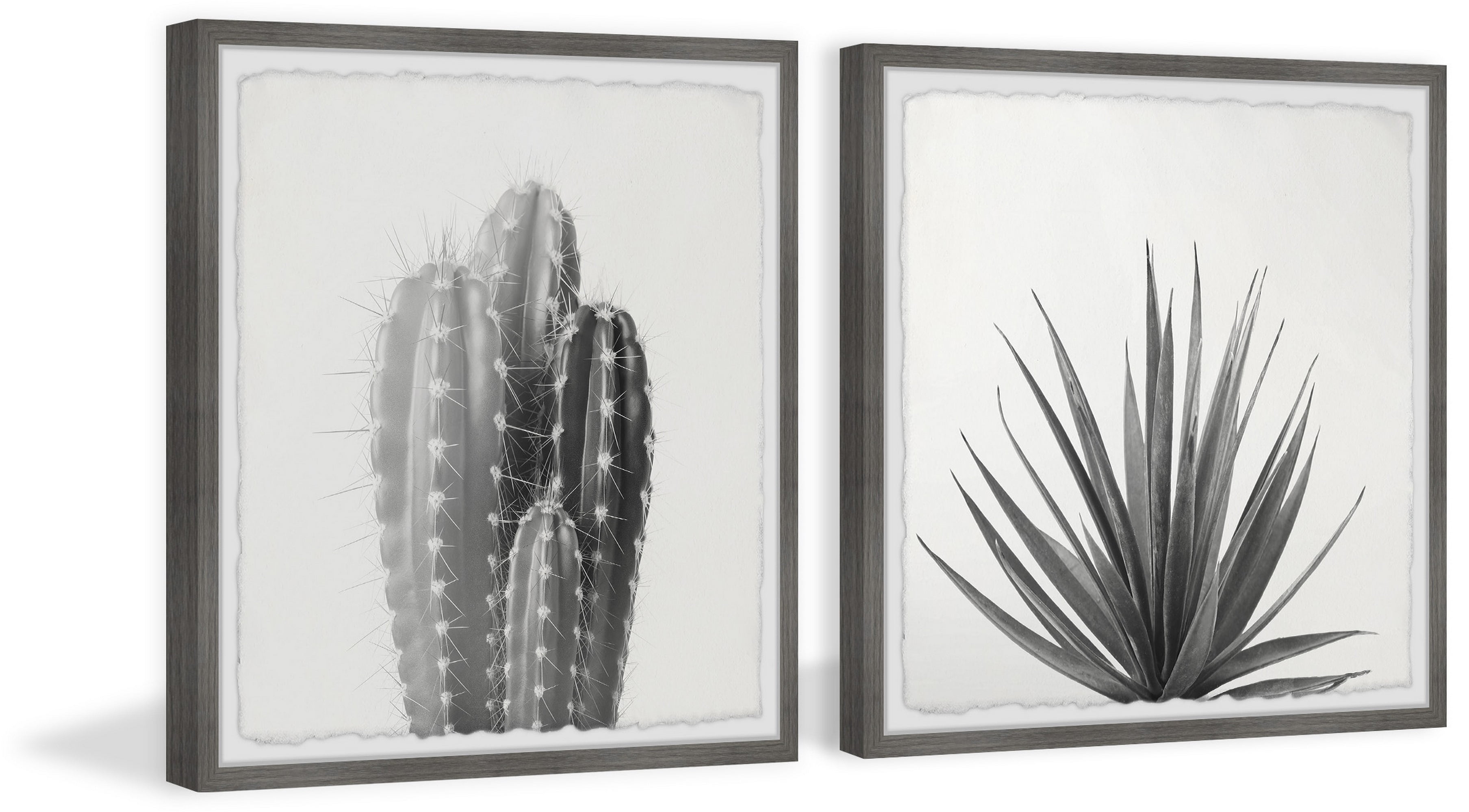 Marmont Hill Black and White Cacti Diptych, 12" x 24"