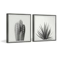 thumbnail image 2 of Marmont Hill Black and White Cacti Diptych, 12" x 24", 2 of 6