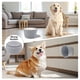 thumbnail image 4 of Tazones Lentos para Perros Unique Bargains, Tazón de Lamido de Silicona con Cepillo y Raspador, Base Antideslizante, Comedero Lento para Aliviar la Ansiedad y Salud Oral, Azul Grisáceo, 4 of 7