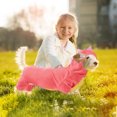 thumbnail image 5 of Kiibsot Dog Dinosaur Costume, Halloween Funny Dino Hoodie Pet Clothes, Cute Apparel for Small & Medium Dogs Cats, 5 of 6