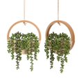 thumbnail image 1 of Plantas colgantes artificiales Floweroyal con cordón, 1 of 7