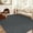 Black Grey, variant on Large Area Rug 10x13 Modern Solids Washable Rug Non Slip Woven Textured Carpet Ultra-Thin Neutral Minimalist Non-Shedding Floor Cover Indoor Foldable Mat for Living Room Bedroom Office Tan