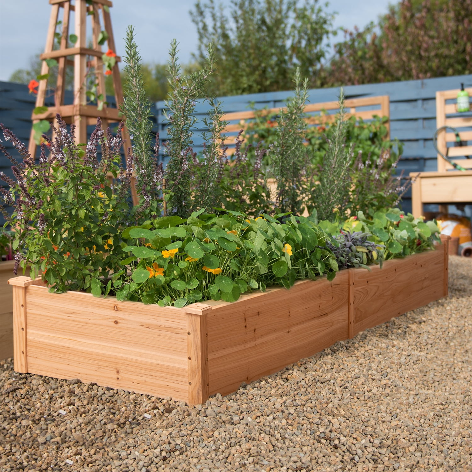 Image of Wooden box planter for garden