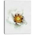 thumbnail image 2 of Bloomy Poppy Flower Watercolor - Floral Canvas Art Print, 2 of 3