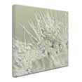 thumbnail image 3 of Trademark Fine Art 'Dandelion Dew III' Canvas Art by Cora Niele, 3 of 4