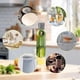 thumbnail image 5 of 3-in-1 Multifunctional Cleaning Brush, Crevice Brush, Water Bottle Brush, Mug Lid Brush, 5 of 5