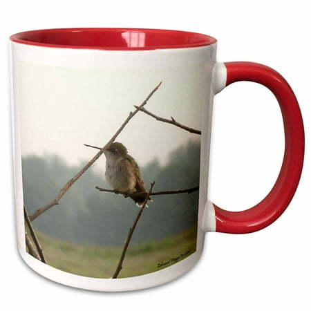 

3dRose Female Hummingbird - Two Tone Red Mug 11-ounce