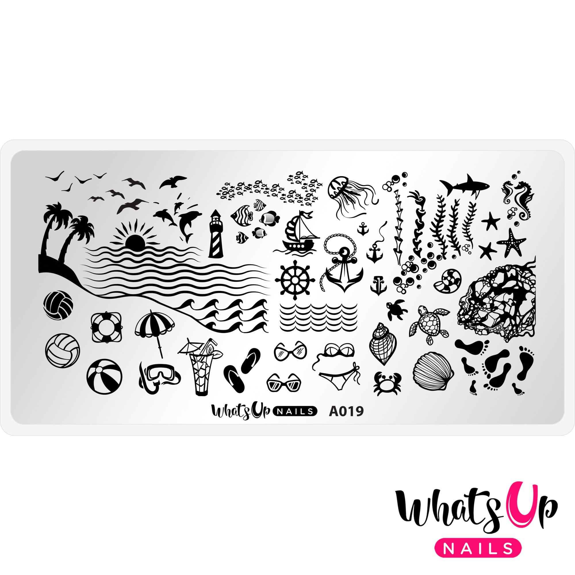 Whats Up Nails A019 Beach Mode Metal Stamping Plate for Summer Nail Art  Design 