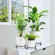thumbnail image 2 of Soporte para plantas Kylinbigda de metal para interiores y exteriores, negro (paquete de 3), 2 of 9