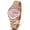3012 Rose Gold & Pink, variant on Women's Stainless Steel Elegant Quartz Watch, Floral Dial Design with Date, Dress Wristwatch