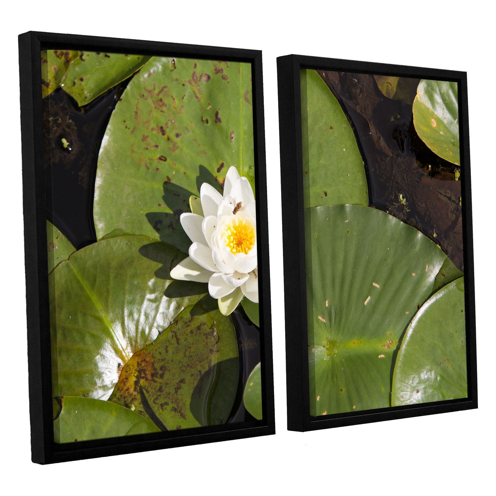 Cody York "Lilly Pad" Floater-Framed Gallery-Wrapped Canvas