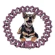 thumbnail image 1 of Cadena Para Perros, Cadenas Cubanas De Oro Para Perros Y Gat, 1 of 7